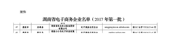 電子商務(wù)企業(yè)認定文件